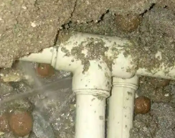 乌审测漏水多少钱