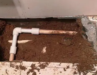 乌审测漏水哪家好