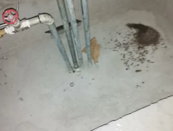 乌审卫生间测漏水价格明细