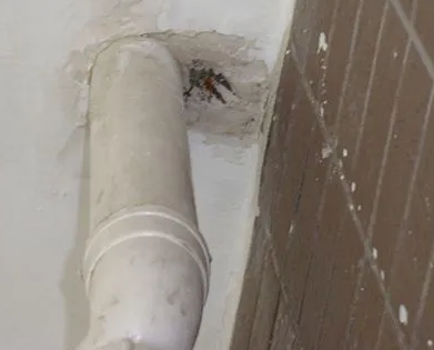 乌审漏水检测哪家好